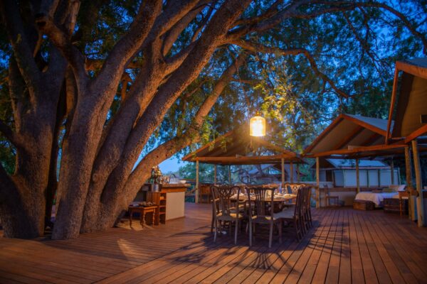 Treehouse1