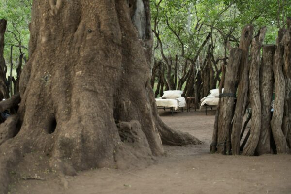 Tuli-horse-safari-10