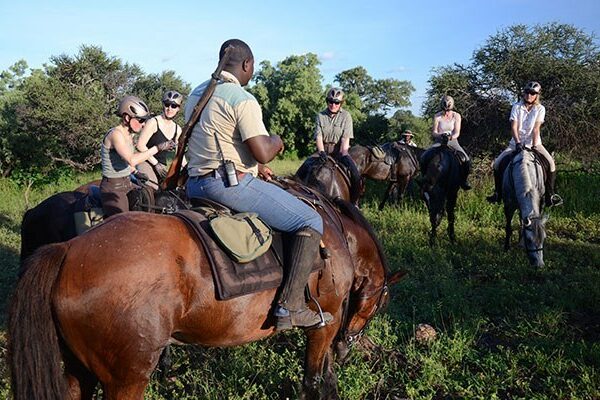 Tuli-horse-safari-13
