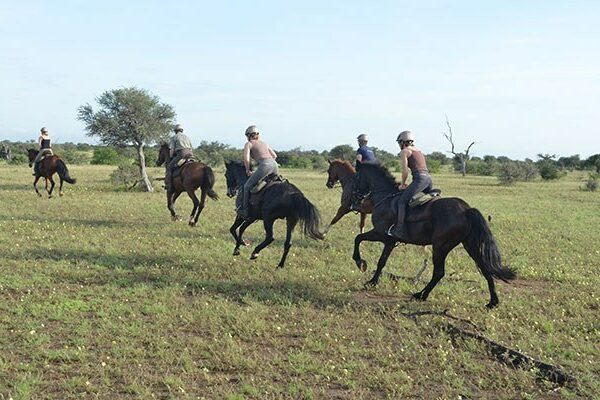 Tuli-horse-safari-18