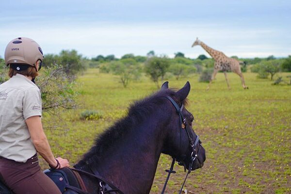 Tuli-horse-safari-21