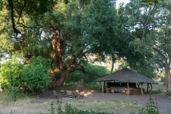 Tuli-horse-safari-23