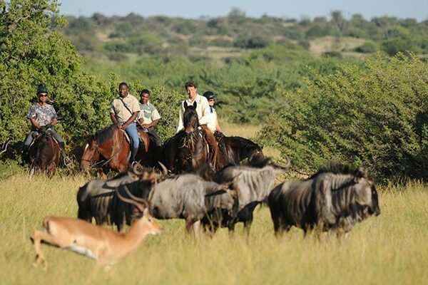 Tuli-horse-safari-9