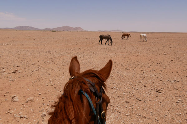 Namibia Desert ride2