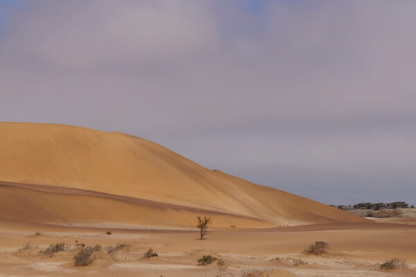 Namibia Desert ride21
