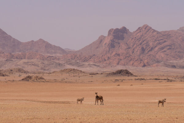 Namibia Desert ride3