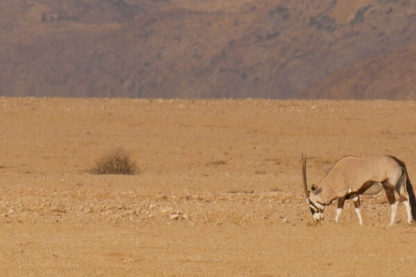 Namibia Desert ride5