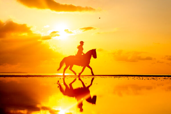 Mozambique-horse-safari