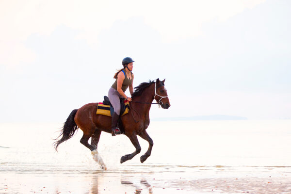 Mozambique-horse-safari11