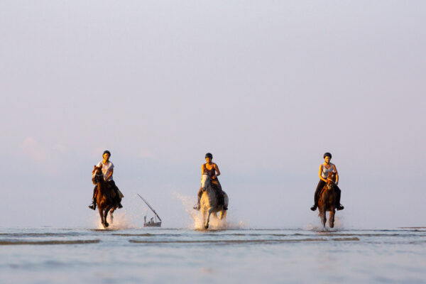 Mozambique-horse-safari12