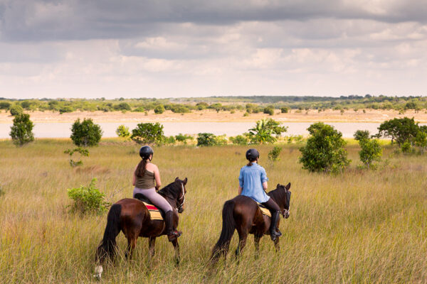 Mozambique-horse-safari13