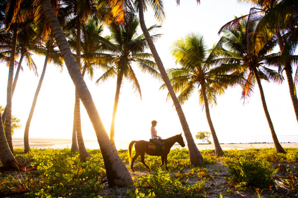 Mozambique-horse-safari14
