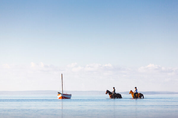 Mozambique-horse-safari15