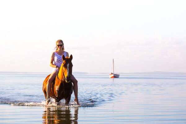 Mozambique-horse-safari16