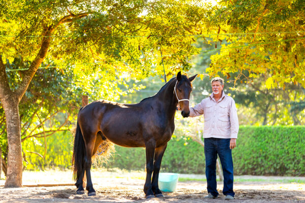 Mozambique-horse-safari17