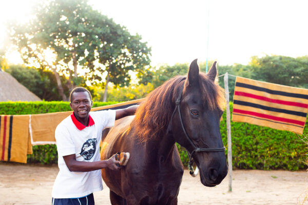 Mozambique-horse-safari18