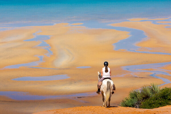 Mozambique-horse-safari20