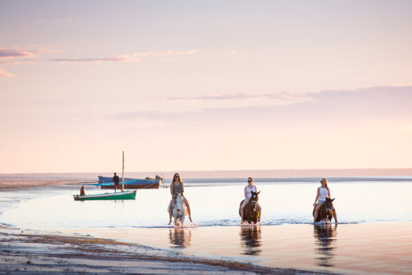 Mozambique-horse-safari3
