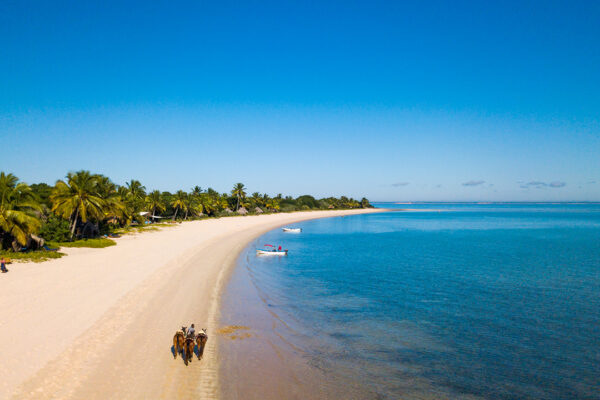 Mozambique-horse-safari7