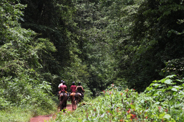 Uganda16