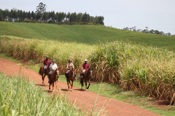Uganda19