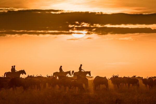 Safaris-Unlimited-Africa-Riding-Safari-Horseback-Masai-Mara-Maasai-Epic-Adventure