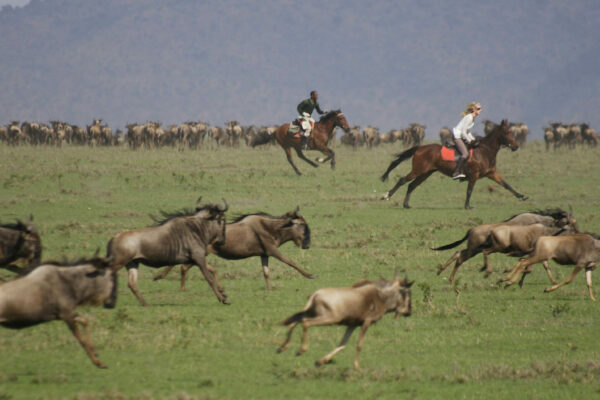 Safaris-Unlimited-Africa-Riding-Safari-Horseback-Masai-Mara-Maasai-Wildebeest-Migration
