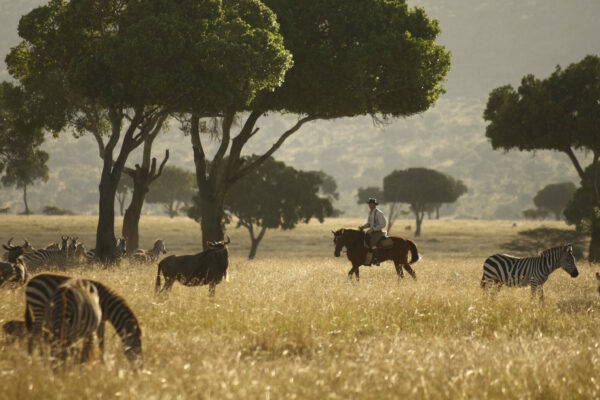 Safaris-Unlimited-Africa-Riding-Safari-Horseback-Masai-Mara-Maasai