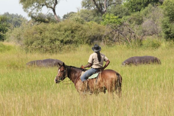 Guide with Hippos