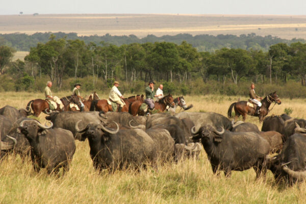 Riding with buffalo