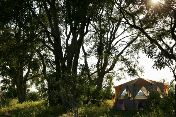 TENT AT BASECAMP TENT AT BASECAMP