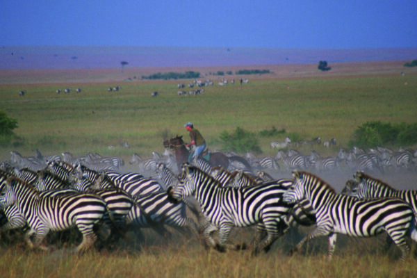 Tristan riding with zebra