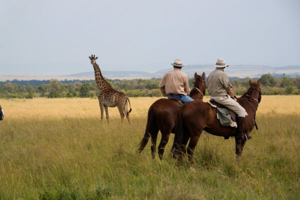 Kenya & Tanzania 2008