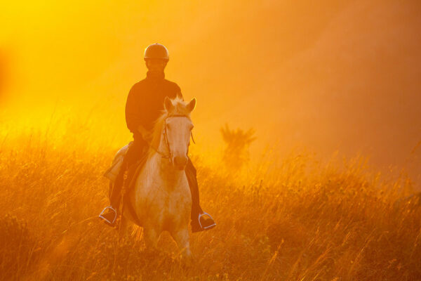 199ChubekaTCunniffe_crop1000x667