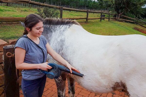 Volunteer-Cleaning-Horse