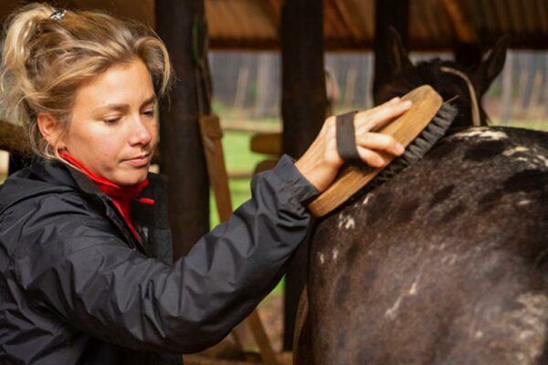 Volunteer-Grooming-Horses