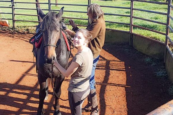 Volunteer-Working-Horse-RoundPen