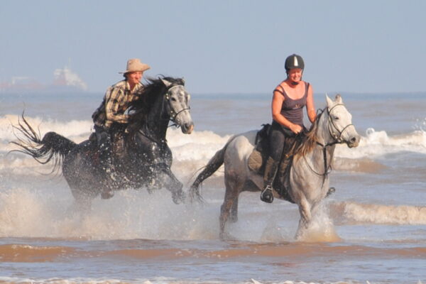 Wild Coast Horse Trail (134)