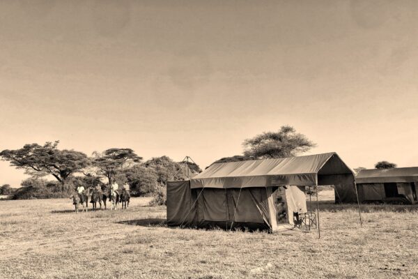 Camp