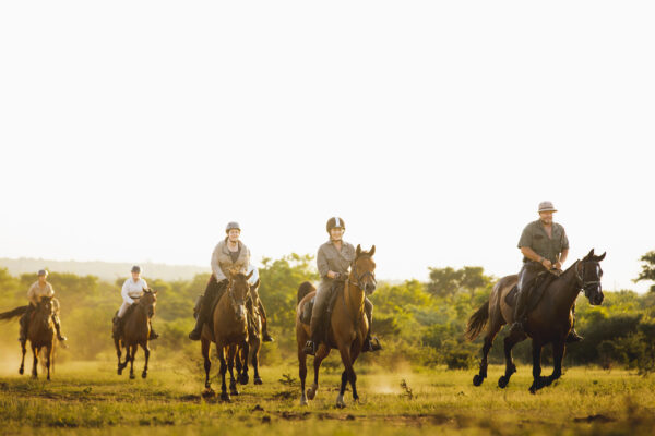 HorseSafari_079