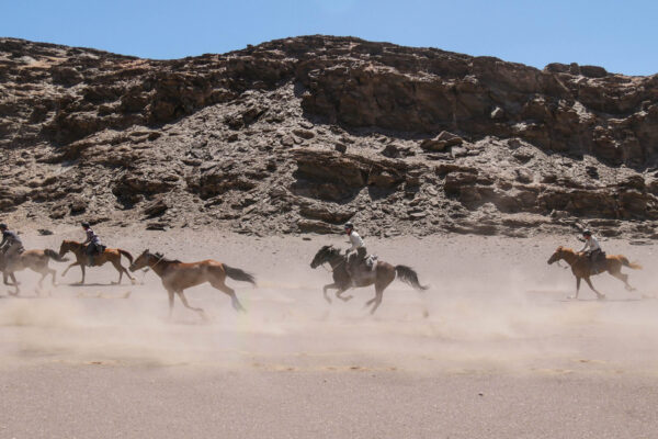 P1150137Low