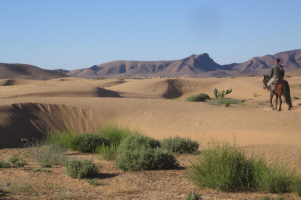 IMG_0213 (1)